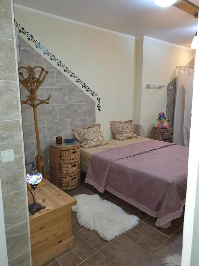 הוילה גוארדמר דל סגורה Casa Alex מראה חיצוני תמונה