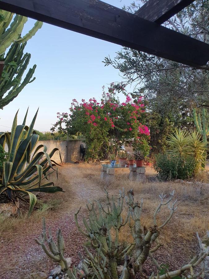 הוילה גוארדמר דל סגורה Casa Alex מראה חיצוני תמונה