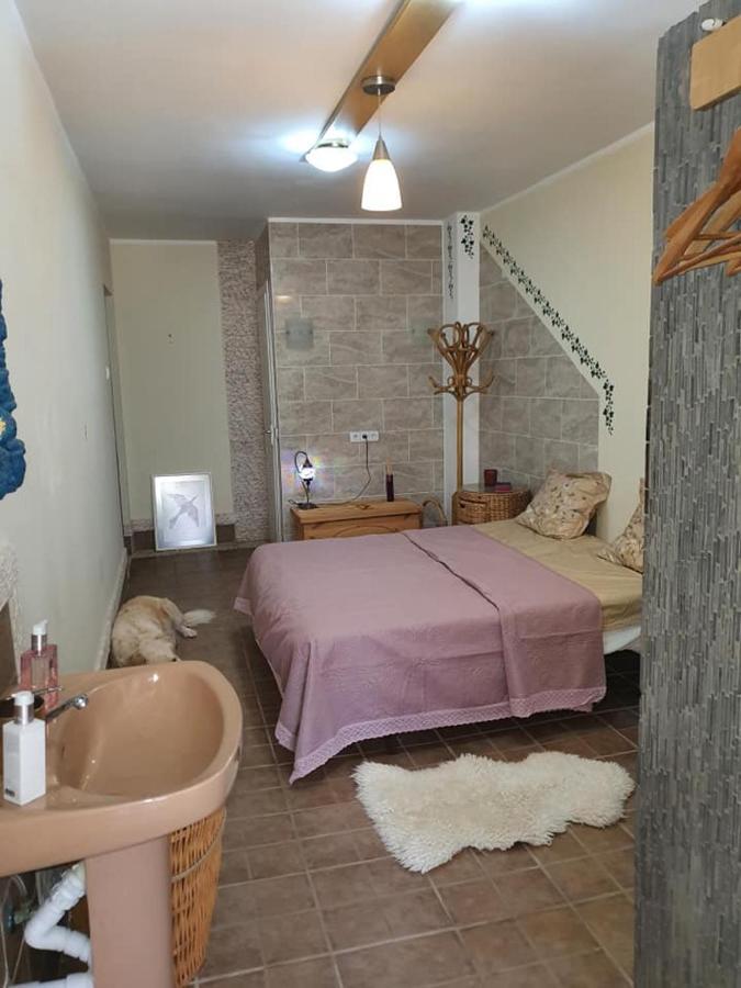 הוילה גוארדמר דל סגורה Casa Alex מראה חיצוני תמונה