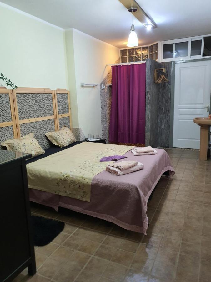 הוילה גוארדמר דל סגורה Casa Alex מראה חיצוני תמונה