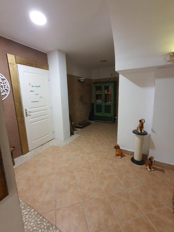 הוילה גוארדמר דל סגורה Casa Alex מראה חיצוני תמונה